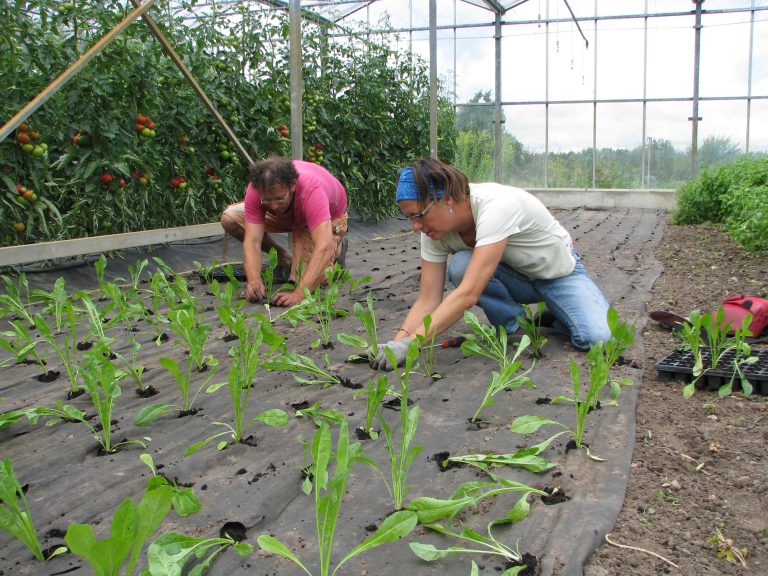 das ist solidarische Landwirtschaft